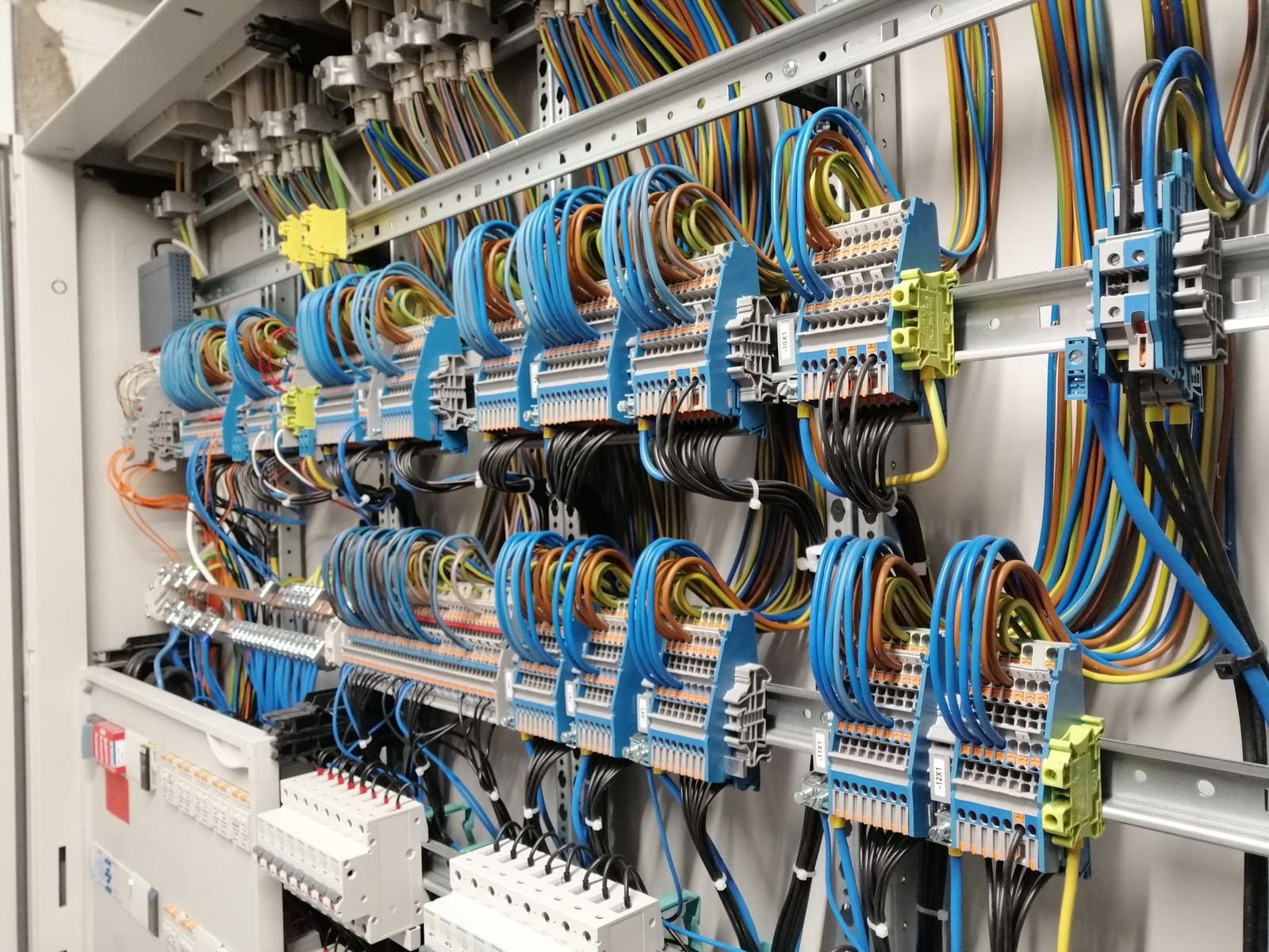Armoire électrique : borniers et fils bleus rangés sur leurs rails